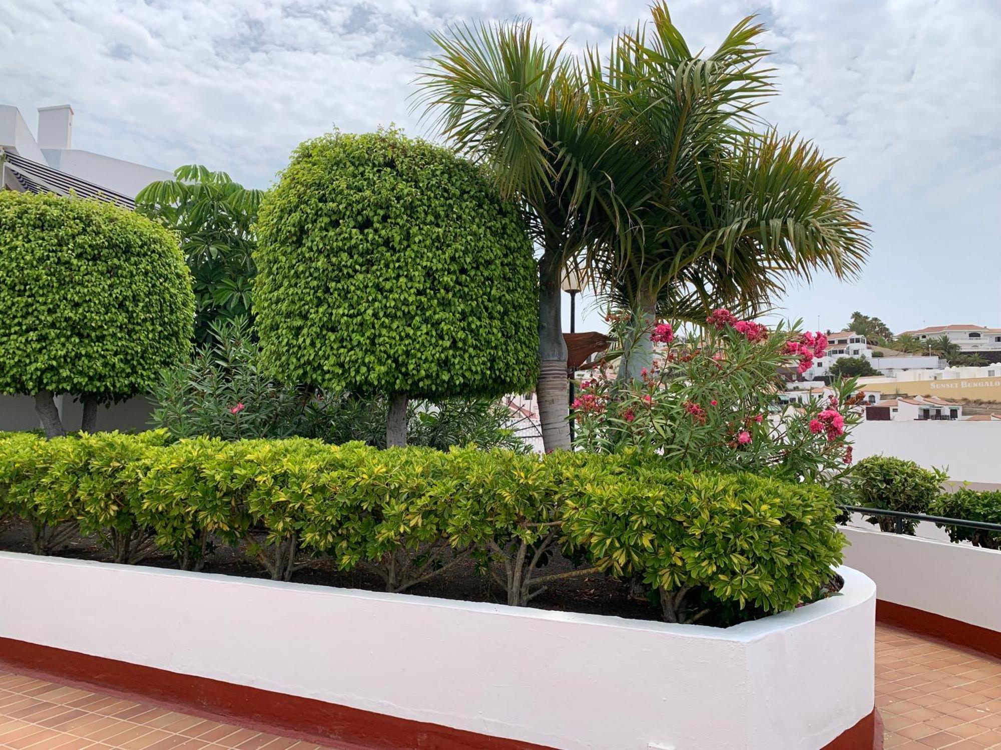 Ocean Breeze And Seaview Resort Costa Adeje Dış mekan fotoğraf